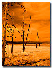 photo "Heat"