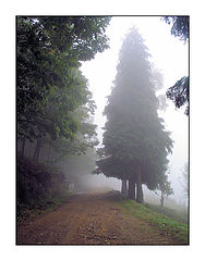 фото "Brumas"