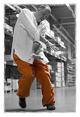 photo "On the move... innerdance.be"