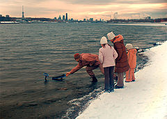 photo "helpful-guy"