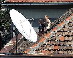 фото "uff, ... no signal"
