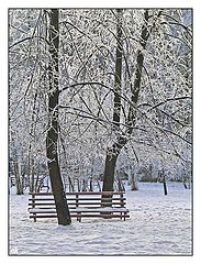 фото "Зимний парк"