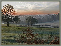 photo "Frozen autumn morning"