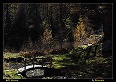 photo "autumn valle antrona"