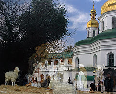 фото "лавра"