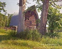 фото "Minnesota"