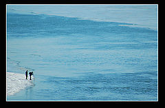 photo "On block of ice"