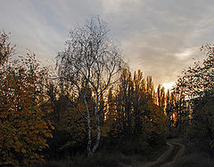 фото "Осенний закат"