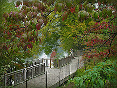 photo "An autumn chord..."