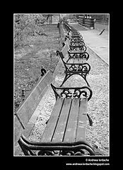 фото "Empty ..."