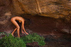 photo "looking for"