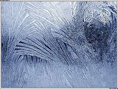 photo "Window Painting"
