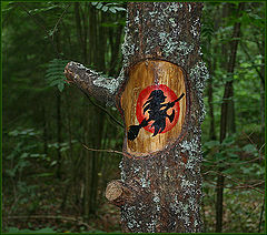 photo "Beware Of The Witch"