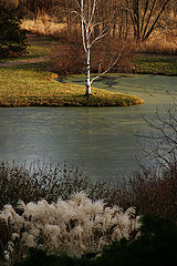 photo "MN"