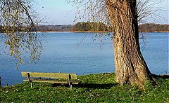 фото "Lake."