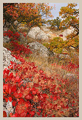 photo "Autumnal paints"