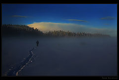 photo "Where now?"