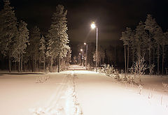 photo "In winter park"