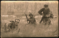 photo "***"