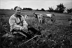фото "Пастушья фотография"