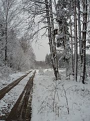 photo "***"