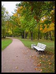 photo "Peterhof. Park Alexandria"