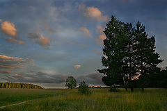 photo "***"