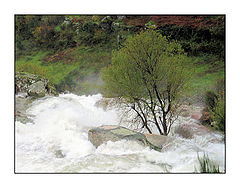 фото "Avalanche agua"