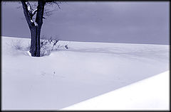 фото "Winterlandscape"