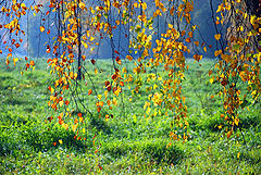 фото "осенний мотив"