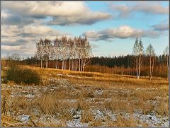 фото "Осенние диагонали"