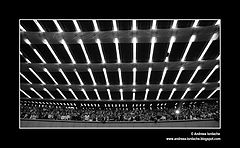 фото "IIIII"
