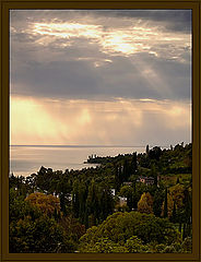 photo "без названия"
