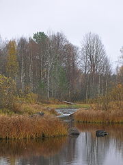 фото "Речушка"