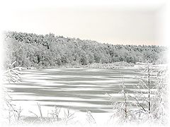 фото "запуржило"