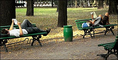 photo "***"
