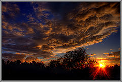photo "Alarm."