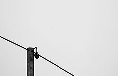 photo "connection 1"