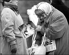 фото "на митинге"