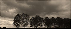 фото "***"