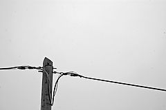 photo "connection 2"