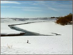 фото "Наперекор морозам"