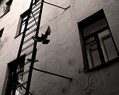 фото "урбания"