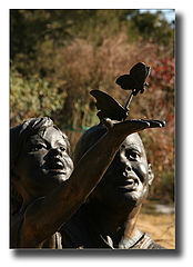photo "Botanical gardens"