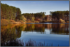 photo "Autumn tints"