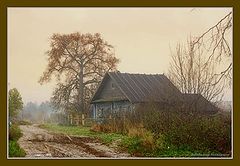 photo "***"