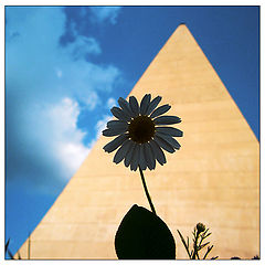 photo "***"