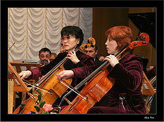 photo "Symphony №..."