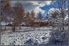 photo "Coming the winter"