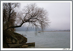 photo "***"
